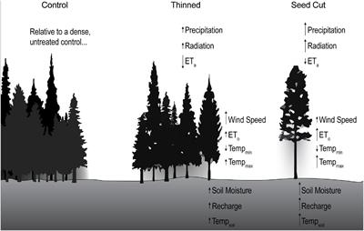 Soil moisture and micrometeorological differences across reference and thinned stands during extremes of precipitation, southern Cascade Range